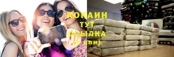 индика Балахна