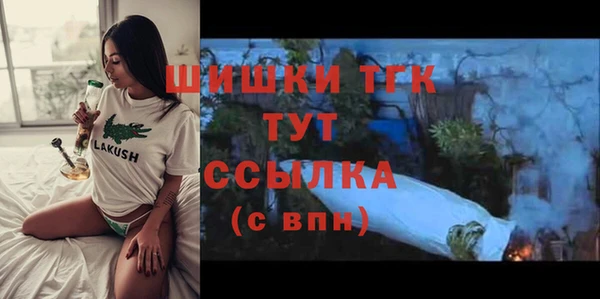 индика Балахна