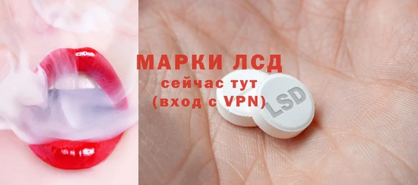 индика Балахна