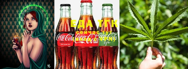 индика Балахна